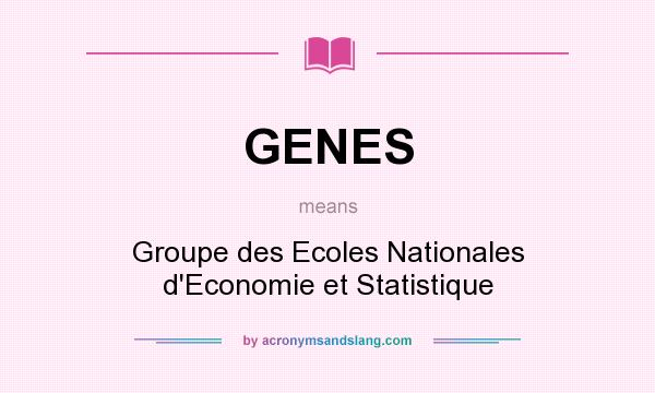 What does GENES mean? It stands for Groupe des Ecoles Nationales d`Economie et Statistique