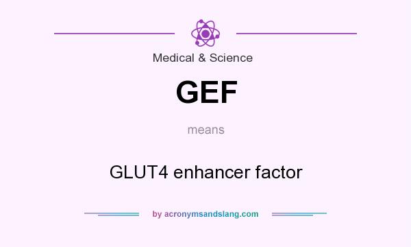What does GEF mean? It stands for GLUT4 enhancer factor