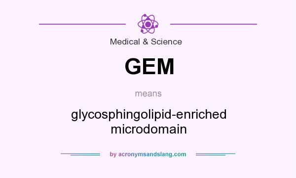 What does GEM mean? It stands for glycosphingolipid-enriched microdomain