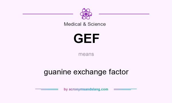 What does GEF mean? It stands for guanine exchange factor