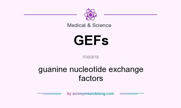 What does GEFs mean? It stands for guanine nucleotide exchange factors