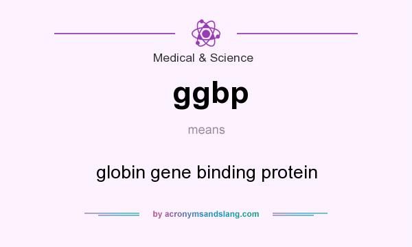 What does ggbp mean? It stands for globin gene binding protein