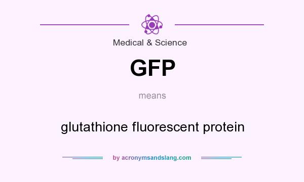 What does GFP mean? It stands for glutathione fluorescent protein