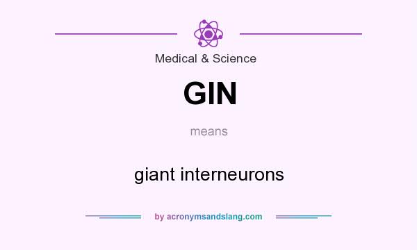 What does GIN mean? It stands for giant interneurons