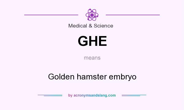 What does GHE mean? It stands for Golden hamster embryo