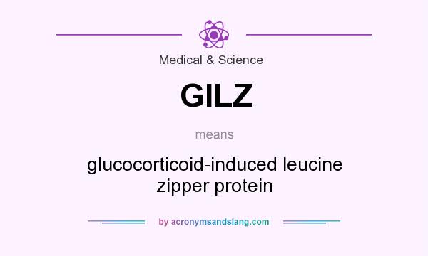 What does GILZ mean? It stands for glucocorticoid-induced leucine zipper protein