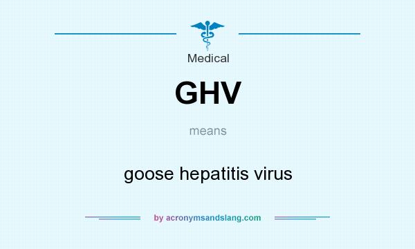 What does GHV mean? It stands for goose hepatitis virus