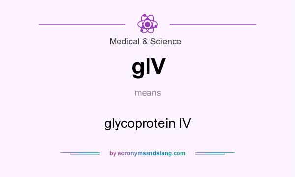 What does gIV mean? It stands for glycoprotein IV