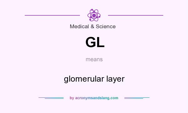 What does GL mean? It stands for glomerular layer
