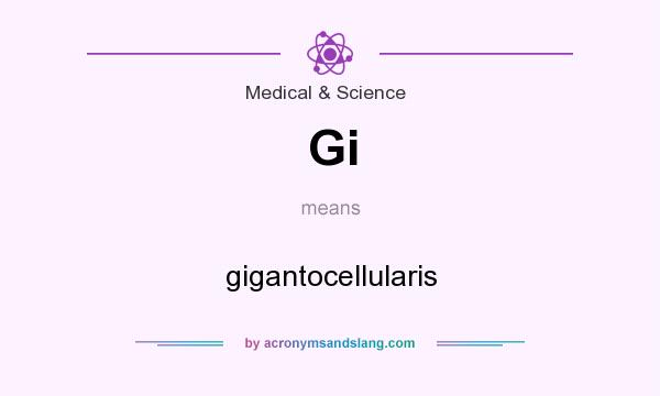 What does Gi mean? It stands for gigantocellularis