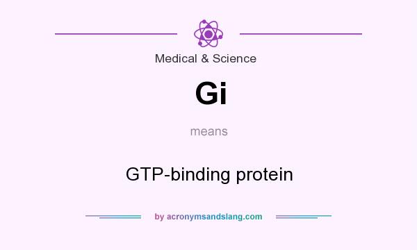 What does Gi mean? It stands for GTP-binding protein