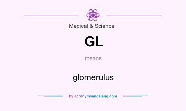 What does GL mean? It stands for glomerulus