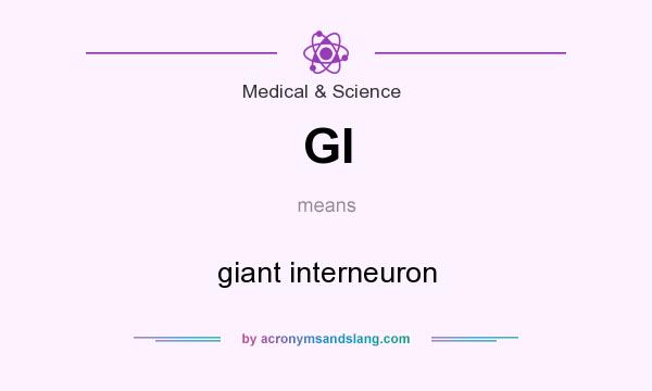 What does GI mean? It stands for giant interneuron