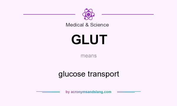 What does GLUT mean? It stands for glucose transport