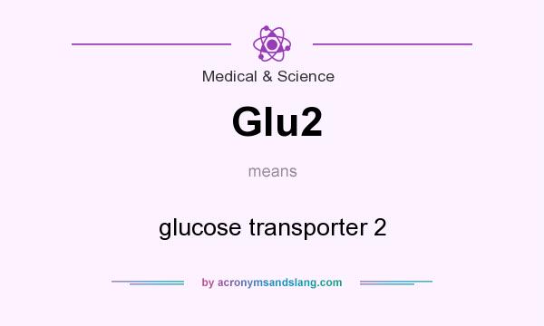 What does Glu2 mean? It stands for glucose transporter 2