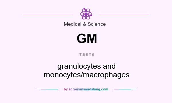 What does GM mean? It stands for granulocytes and monocytes/macrophages