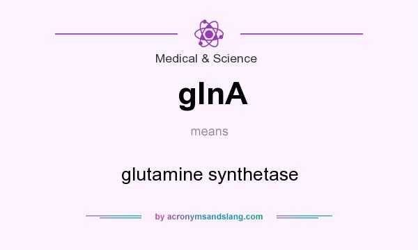 What does glnA mean? It stands for glutamine synthetase