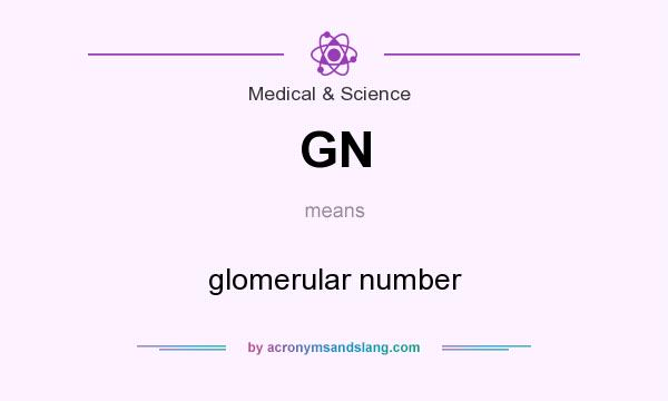 What does GN mean? It stands for glomerular number