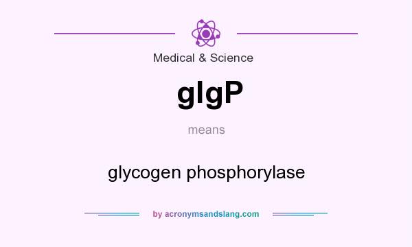 What does glgP mean? It stands for glycogen phosphorylase