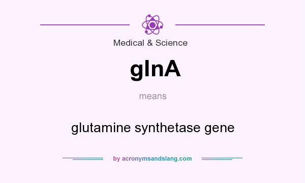 What does glnA mean? It stands for glutamine synthetase gene