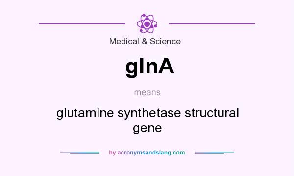 What does glnA mean? It stands for glutamine synthetase structural gene