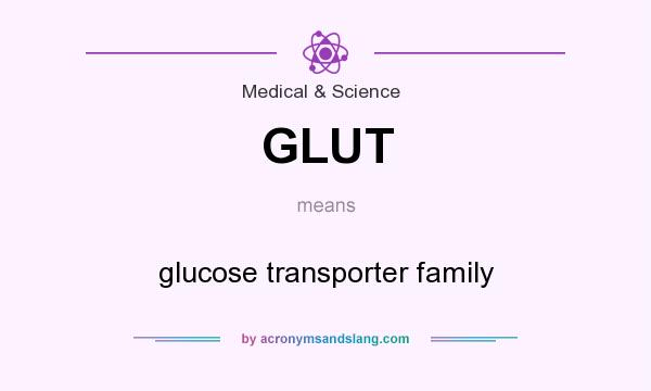 What does GLUT mean? It stands for glucose transporter family