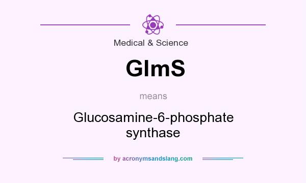 What does GlmS mean? It stands for Glucosamine-6-phosphate synthase