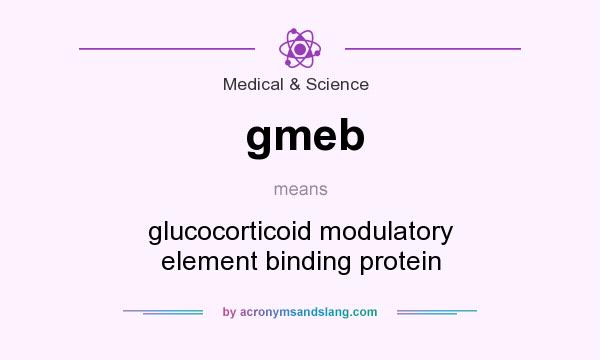 What does gmeb mean? It stands for glucocorticoid modulatory element binding protein