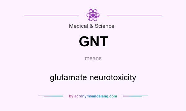 What does GNT mean? It stands for glutamate neurotoxicity