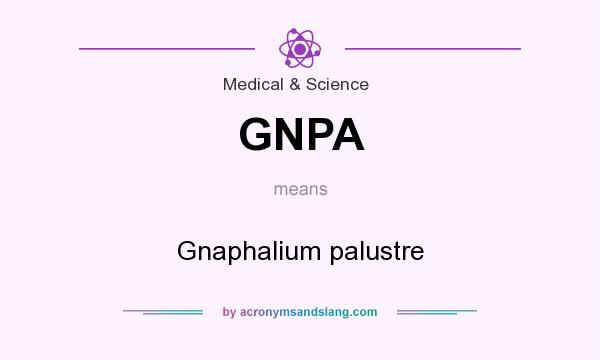 What does GNPA mean? It stands for Gnaphalium palustre