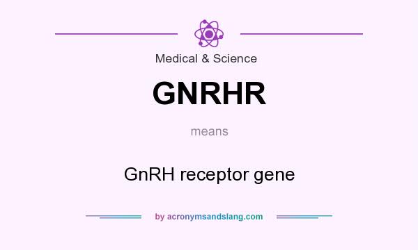 What does GNRHR mean? It stands for GnRH receptor gene