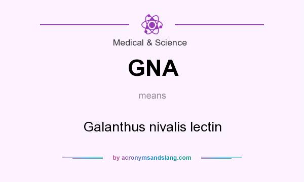 What does GNA mean? It stands for Galanthus nivalis lectin