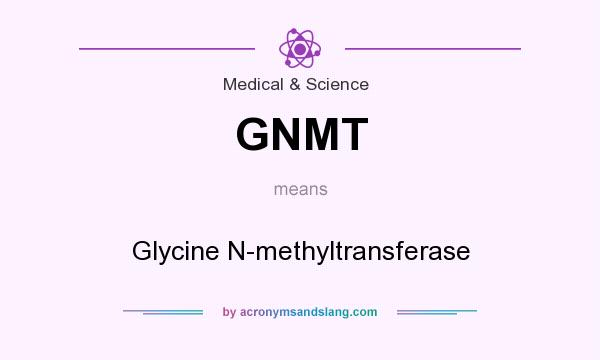 What does GNMT mean? It stands for Glycine N-methyltransferase