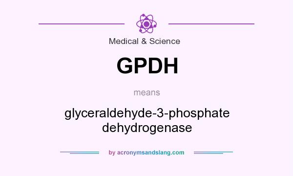 What does GPDH mean? It stands for glyceraldehyde-3-phosphate dehydrogenase
