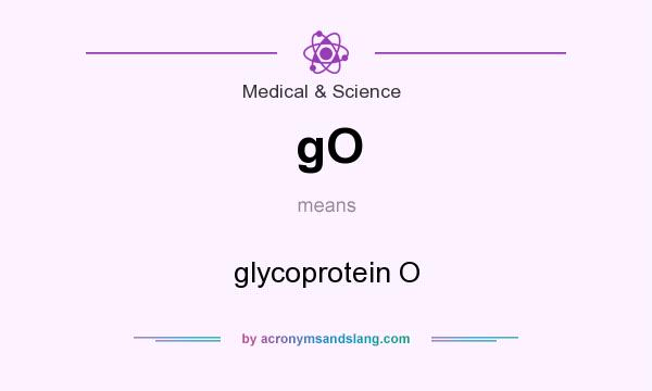 What does gO mean? It stands for glycoprotein O