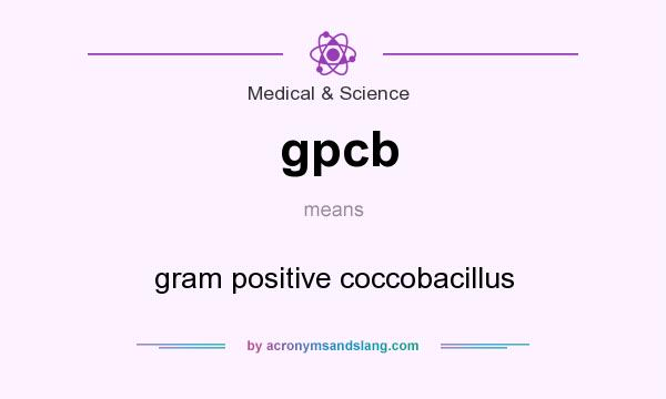 What does gpcb mean? It stands for gram positive coccobacillus