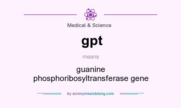 What does gpt mean? It stands for guanine phosphoribosyltransferase gene