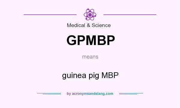 What does GPMBP mean? It stands for guinea pig MBP