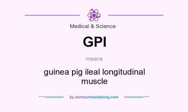 What does GPI mean? It stands for guinea pig ileal longitudinal muscle