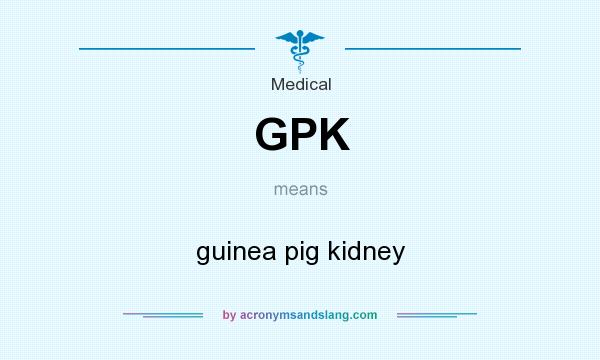 What does GPK mean? It stands for guinea pig kidney