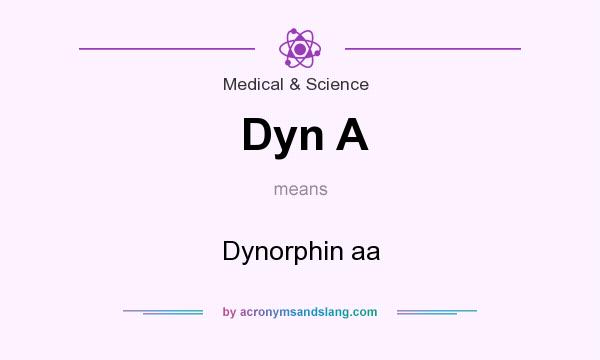 What does Dyn A mean? It stands for Dynorphin aa