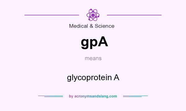 What does gpA mean? It stands for glycoprotein A