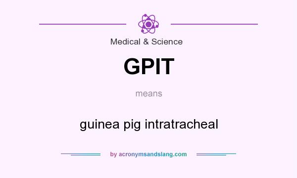 What does GPIT mean? It stands for guinea pig intratracheal