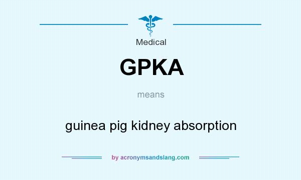 What does GPKA mean? It stands for guinea pig kidney absorption