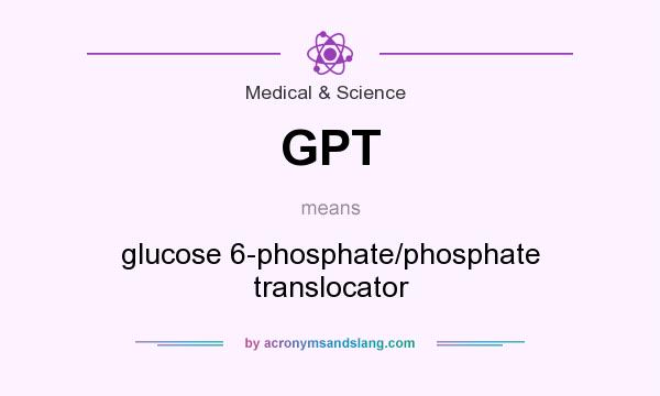 What does GPT mean? It stands for glucose 6-phosphate/phosphate translocator