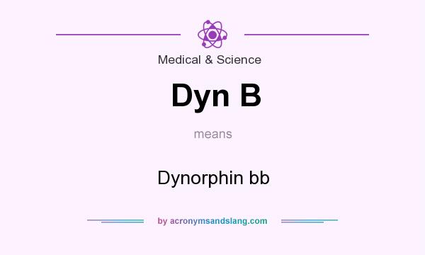 What does Dyn B mean? It stands for Dynorphin bb