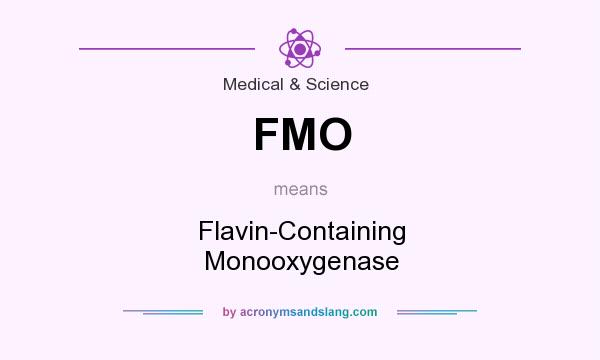 What does FMO mean? It stands for Flavin-Containing Monooxygenase