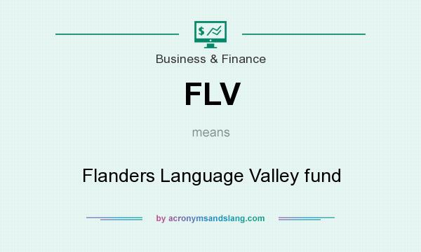 What does FLV mean? It stands for Flanders Language Valley fund