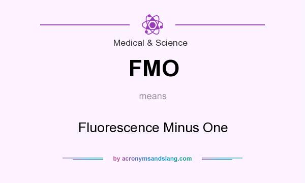 What does FMO mean? It stands for Fluorescence Minus One