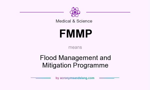 What does FMMP mean? It stands for Flood Management and Mitigation Programme